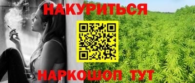 Альфа ПВП Будённовск