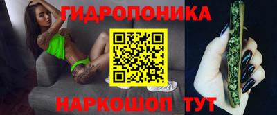 гашик Бузулук
