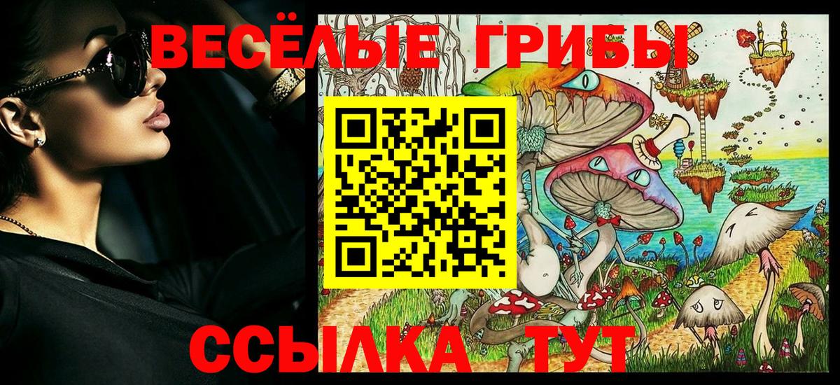 Сосновоборск  Псилоцибиновые грибы мухоморы  Вход с VPN 